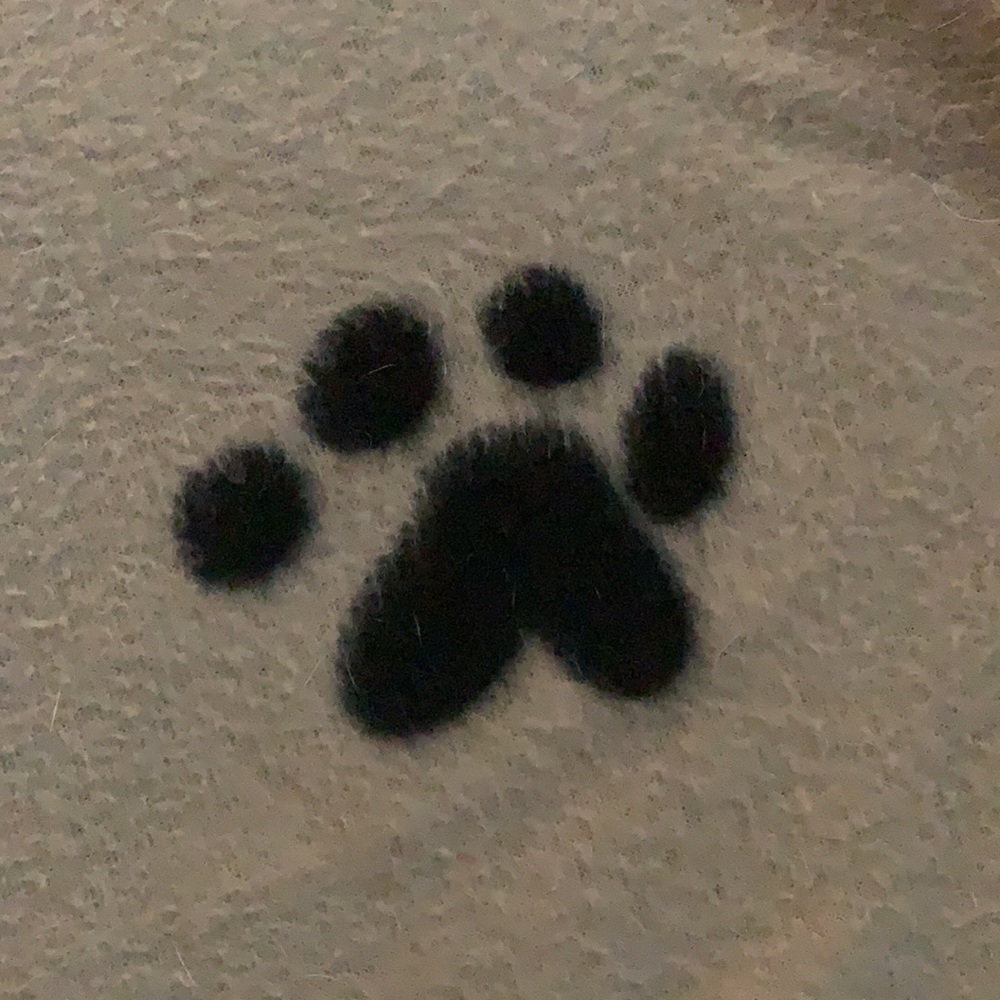 ONE Dog blanket big and soft - buy 2 for $16 and pay only one shipping!